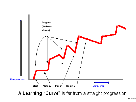 A diagram of the learning curve of an individual