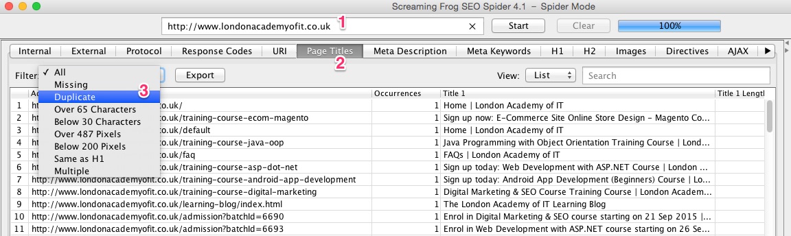 A screenshot of the Screaming Frog SEO Spider tool revealing duplicate page titles