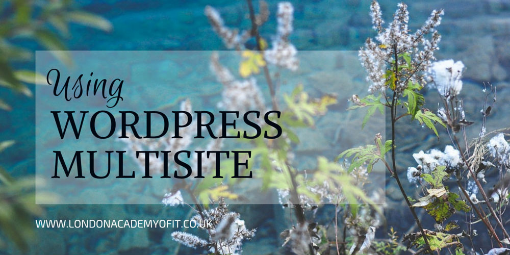 Should You Be Using WordPress Multisite?
