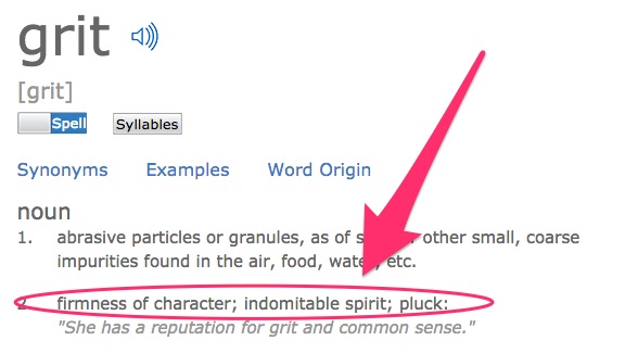 A screenshot of Dictionary.com's definition of 'grit'