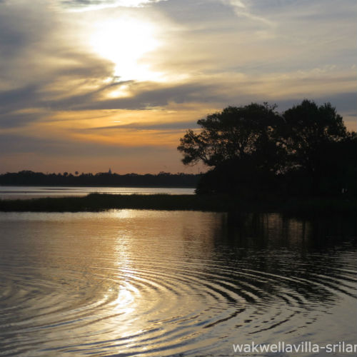 A Case Study: Anita Amendra